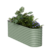 Salbeigrün