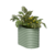 Salbeigrün
