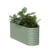 Salbeigrün