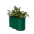 Dunkelgrün