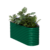 Dunkelgrün