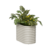 Cremeweiß