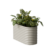 Cremeweiß